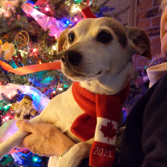 Teddy Sherpa WorkShop brand cozy Black half zip - Picture 13 of 13